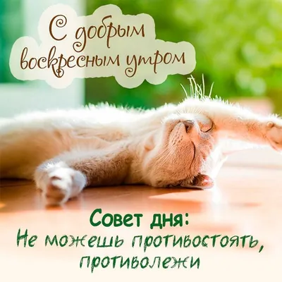 😎Доброе субботнее утро, Барнаул! Сегодня днем +10...+12🌅 Всем гулять! |  ВКонтакте