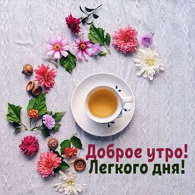 Открытки с добрым утром - скачайте бесплатно на Davno.ru