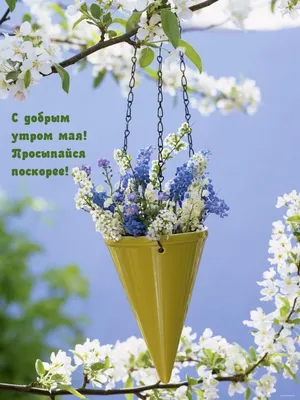 Какой сегодня праздник, курс доллара и погода в Днепре 4 мая 2020 - Днепр  Vgorode.ua