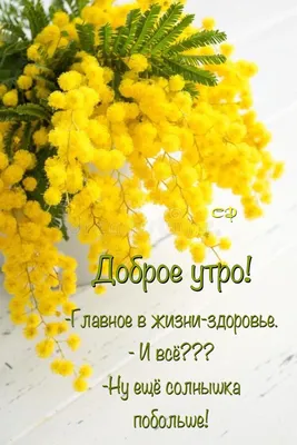 Good morning | доброе утро | сторис косметолог | cosmetology stories | 8  марта | Бесплатные шаблоны пригласительных, Цветочные фоны, Простые  цветочные композиции