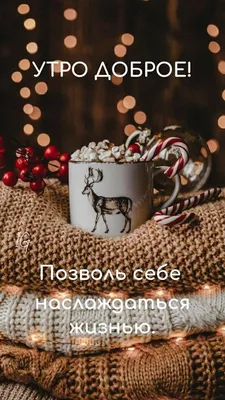 🎅 С ДОБРЫМ УТРОМ, ДРУЗЬЯ! 🎅 Сегодня утро декабря, Я доброе утро тебе  пожелаю. Стучится.. | ВКонтакте