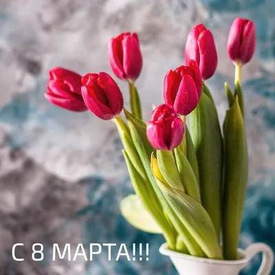 Доброе утро Уфа! За окном снегопад, а на душе весна????. Принимаем заказы  на 8 марта.???? Ул. Ветошникова д.131. ☎(347)266-59-77 ????+7 927 236 59  77. Сайт www.bloomboom.ru#flowers#доставкацветовуфа#цветыуфа#цветы#уфа |  Bloom Boom