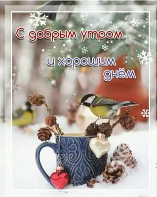 Доброе утро (@good_morning_com) • Instagram photos and videos