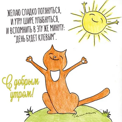 Доброго утра | Cat art, Cats illustration, Cat artwork