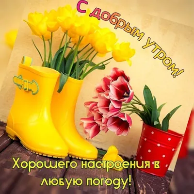 Александр Николаевич - 🌹💐🌹Доброе утро 💐🌹💐 | Facebook