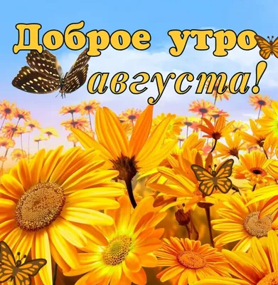 Август! 🍃🌻 🍏🌸🍎 🌻🍃 | Доброе утро, Цитаты про лето, Привет, август