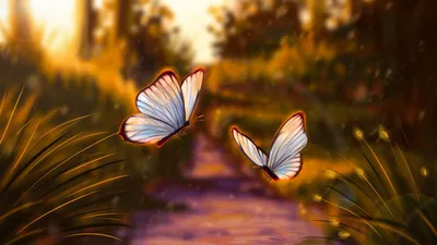 Бабочки с пожеланиями - 57 фото