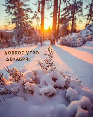 Доброе утро субботы декабря картинки красивые (39 фото) » Красивые  картинки, поздравления и пожелания - Lubok.club