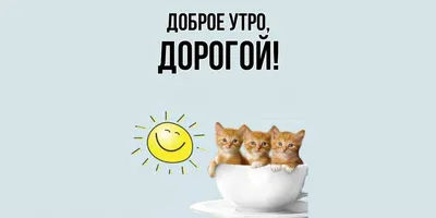 Картинки любимому мужчине С добрым утром ☀️⏰ - скачать (129 шт.)