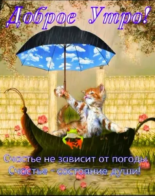 ШмотДоПятисот/Одежда - Доброе утро🌧️🌧️🌧️☔☔☔ Дождливое утро ☕☕☕ пусть оно  начнётся с хорошей новости и бодрого настроения, с тёплой улыбки и вкусного  завтрака, с великой цели и абсолютной уверенности в своём успехе. Удачи