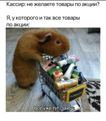 Доброго утра и прекрасного настроения!) #открытка #доброеутро #пожелан... |  TikTok