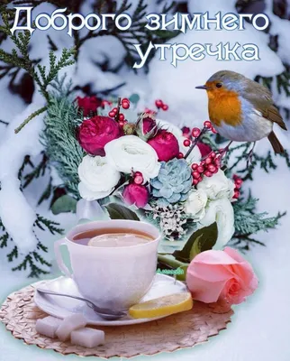 Зимние открытки \"Доброго утра!\" (236 шт.)