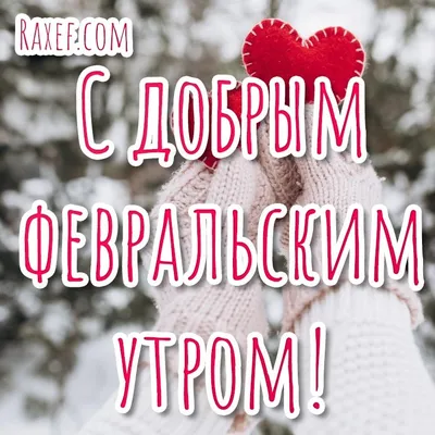 Привет февраль! Доброе февральское утро! Картинки, открытки и пожелания в  стихах и в прозе! Доброе утро, февраль! Привет, февраль! Доброго утра всем!  Пусть это... | Страница 3