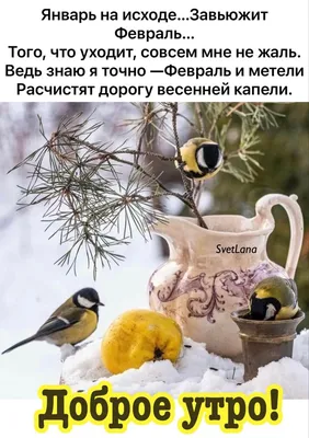 Мудрая бабулечка added a new photo. - Мудрая бабулечка