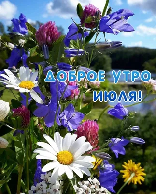 ИЮЛЬ! 🍒💐💜🌿🍒 Всё будет хорошо! | Привет, июль, Открытки, Доброе утро