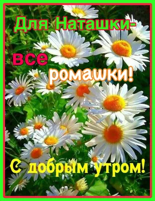 Formybaby.ru - ДОБРОЕ УТРО! Сегодня 8 июля, среда. После... | Facebook