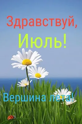 Открытки \"Доброго утра июля!\" бесплатно (153 шт.)