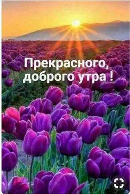 Тарелка декоративная \"Доброе утро!\" Ирина блюдо подарок подруге маме  девушке — купить в интернет-магазине по низкой цене на Яндекс Маркете