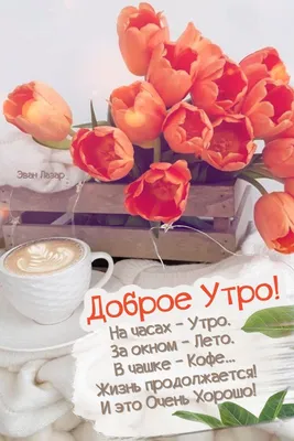 Доброе утро доброго дня красивые открытки картинки | Винтажные чаепития,  Простые цветочные композиции, Открытки
