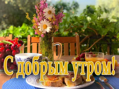 🌸🌷🍃🌞🌿🌷🌸 Доброе Утро! | Good morning quotes, Good morning