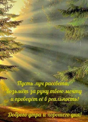 Красивые пожелания с добрым утром: стихи, проза, открытки - МЕТА