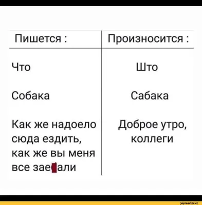 Доброе утро, коллеги | Мир@вокруг | Дзен