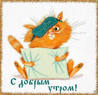 Доброе утро! А кого будят коты?! | Книги о приключениях и любви | ВКонтакте