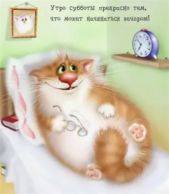 Pin by Екатерина on доброе утро cat | Good morning, Cats, Animals