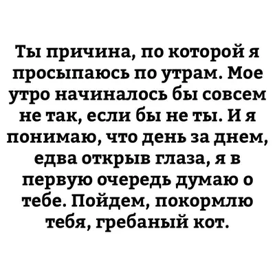 Гиф анимация Кот с подушкой и недовольной мордой (С добрым утром!)