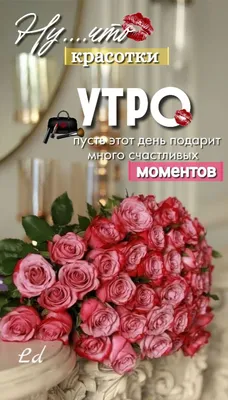 Доброе утро красотки🌸 Пусть каждый день проходит с хорошим настроением, с  тёплом, любовью, уютом... | ВКонтакте