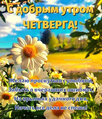 Картинки \"Доброе утро! С началом лета\"