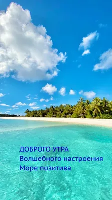 Картинки доброе утро у моря красивые - 68 фото