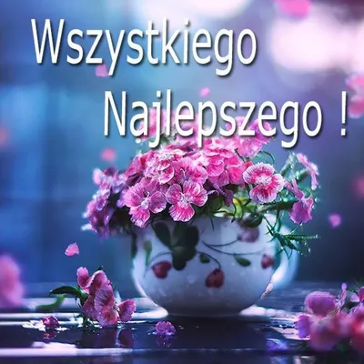 Доброе утро! PNG , Польский, Доброе утро, Доброе утро польский PNG картинки  и пнг PSD рисунок для бесплатной загрузки