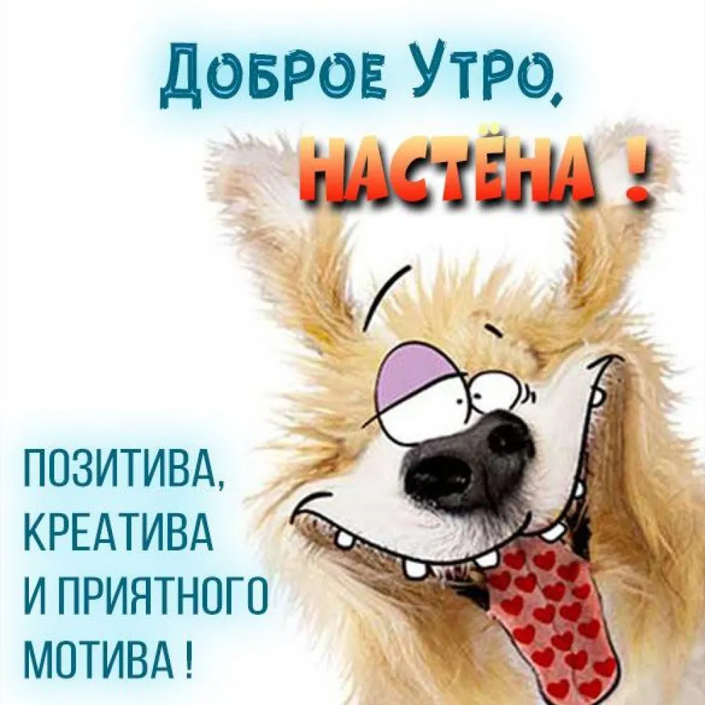 Наташенька#Доброе#утро!#💐 | TikTok Наташенька#Доброе#утро!#💐 | TikTok