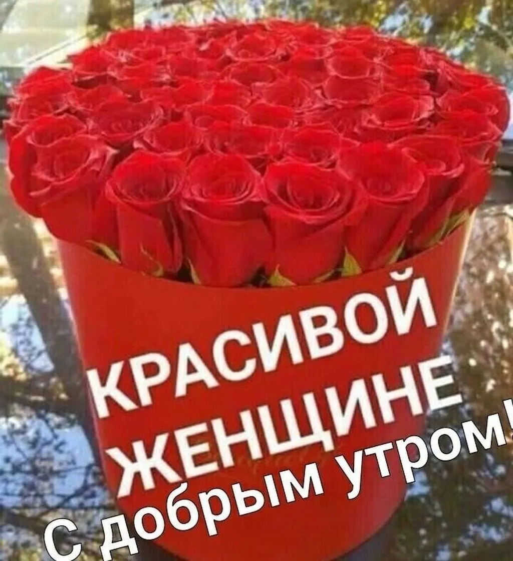 Доброе утро наташа открытки - 69 фото Доброе утро наташа открытки - 69 фото