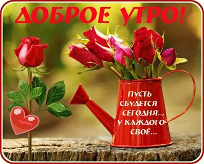 Открытка \"Доброе утро!\" :: Наталья (ShadeNataly) Мельник – Социальная сеть  ФотоКто
