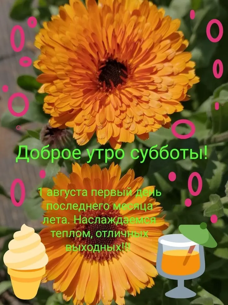 Мем: \"Наташа! С добрым утром!\" - Все шаблоны - Meme-arsenal.com Мем: \"Наташа! С добрым утром!\" - Все шаблоны - Meme-arsenal.com