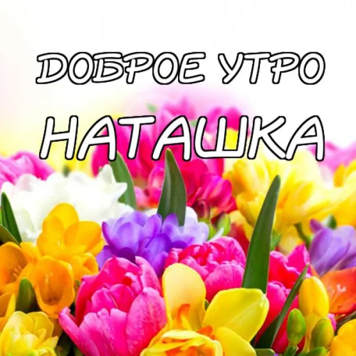 Открытка с именем настя Доброе утро кофе и зерна. Открытки на каждый день с именами и пожеланиями. Открытка с именем настя Доброе утро кофе и зерна. Открытки на каждый день с именами и пожеланиями.