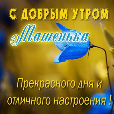 Доброе утро! Сентябрь с теплотой... (Шведова Наталья Анатольевна) / Стихи.ру