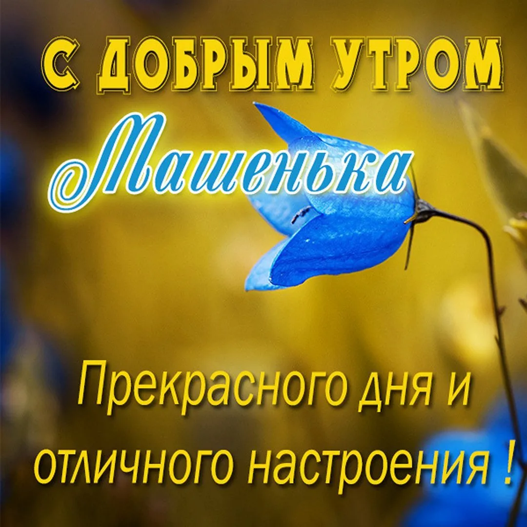 Доброе утро! Сентябрь с теплотой... (Шведова Наталья Анатольевна) / Стихи.ру Доброе утро! Сентябрь с теплотой... (Шведова Наталья Анатольевна) / Стихи.ру