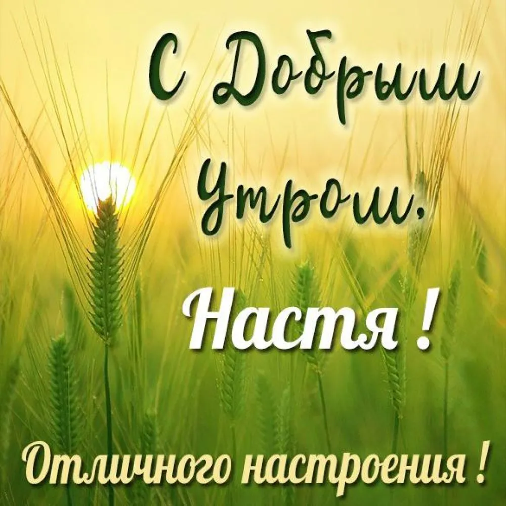 Тарелка декоративная \"Доброе утро!\" Настя блюдо подарок подруге маме девушке — купить в интернет-магазине по низкой цене на Яндекс Маркете Тарелка декоративная \"Доброе утро!\" Настя блюдо подарок подруге маме девушке — купить в интернет-магазине по низкой цене на Яндекс Маркете