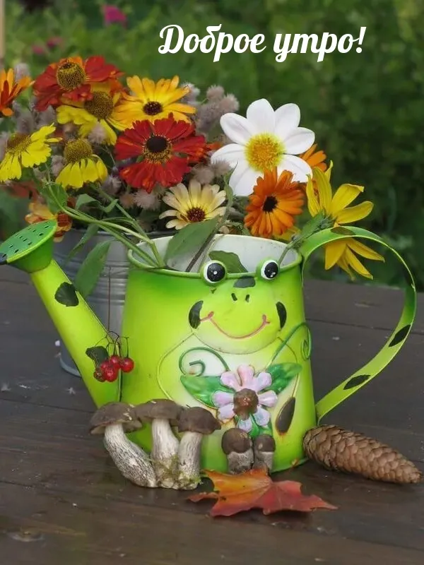 Pin by Анна on Доброе утро Pin by Анна on Доброе утро