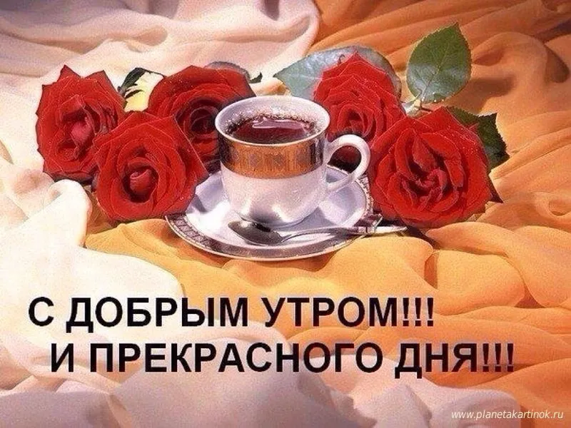 Пин от пользователя Наталья Савкина на доске Доброе утро | Благодарственные открытки, Поздравительные открытки, Весна Пин от пользователя Наталья Савкина на доске Доброе утро | Благодарственные открытки, Поздравительные открытки, Весна