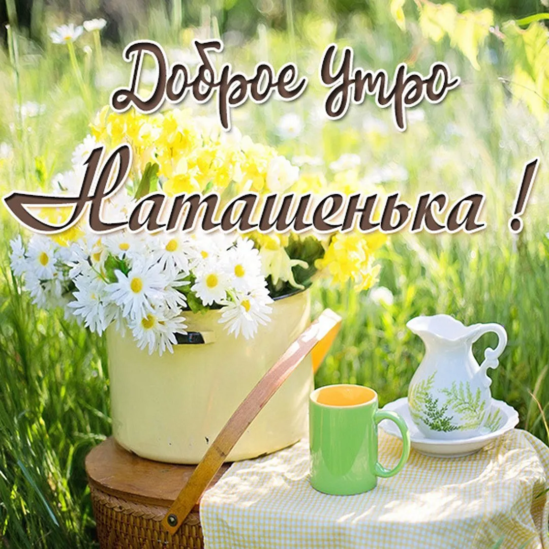 Наталья Life. | Доброе утро! Прекрасного дня! 💐 | Дзен Наталья Life. | Доброе утро! Прекрасного дня! 💐 | Дзен