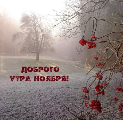 Доброе утро /Good morning - GIF АНИМАЦИЯ - Страна красоты Gif | Розовые  цветочные композиции, Доброе утро, Ноябрь