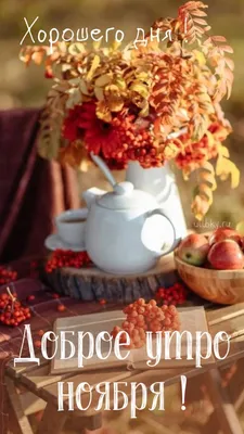 Доброе утро Ноября! 03.11.2022 🌹☕🍁❤️🍂💖 | Доброе утро, Осенние картинки,  Веселые картинки