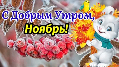 Открытки \"Доброго новбрьского утра!\" (100+)