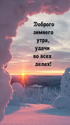 https://www.fontanka.ru/2023/12/01/72974120/