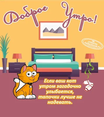 Красивые пожелания! Открытка доброе утро, с добрым утром, котёнок!