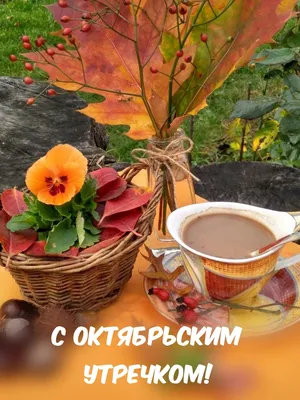 С Добрым Воскресным Утром! 8 ОКТЯБРЯ. #осеннееутро #доброеутречко #вид... |  TikTok